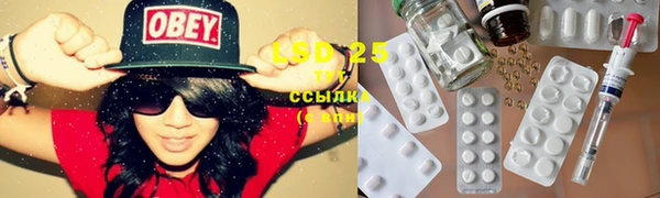 стафф Алзамай