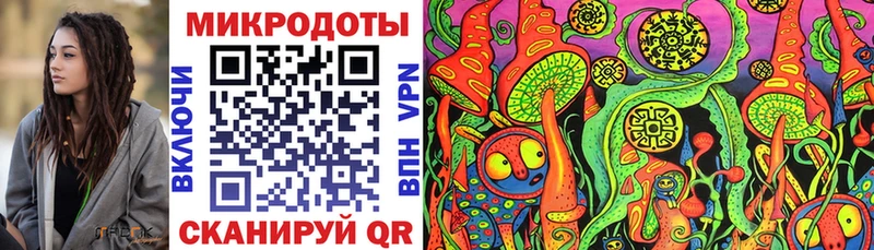 Галлюциногенные грибы Psilocybine cubensis  Арсеньев 